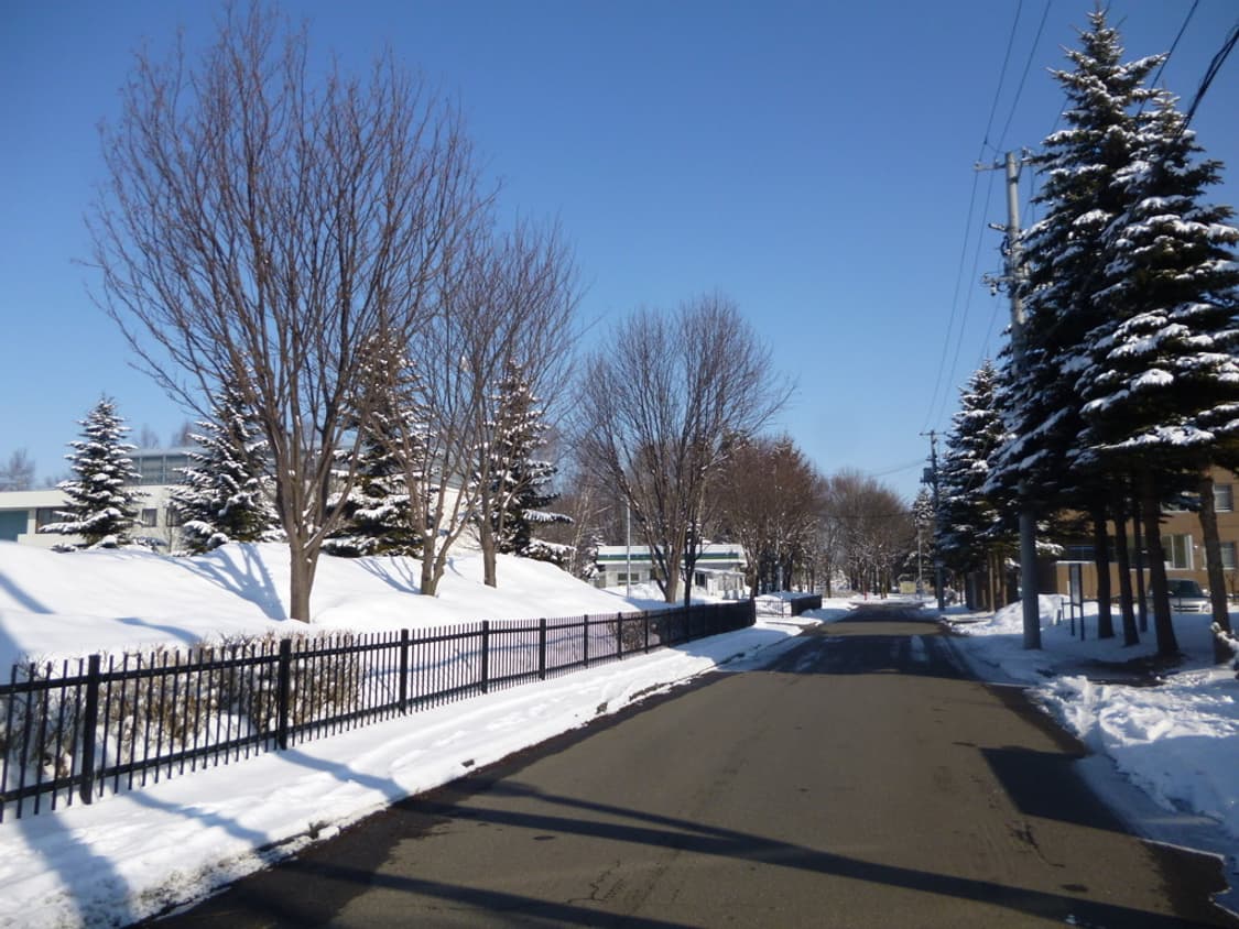 (스티커 기능) 파나소닉 루믹스 DMC-FH7 빈티지디카 디지털카메라 상품이미지9