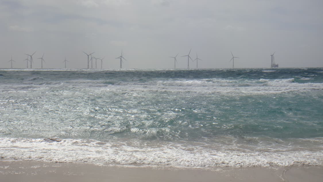 Sony cybershot DSC-T700 상품이미지6