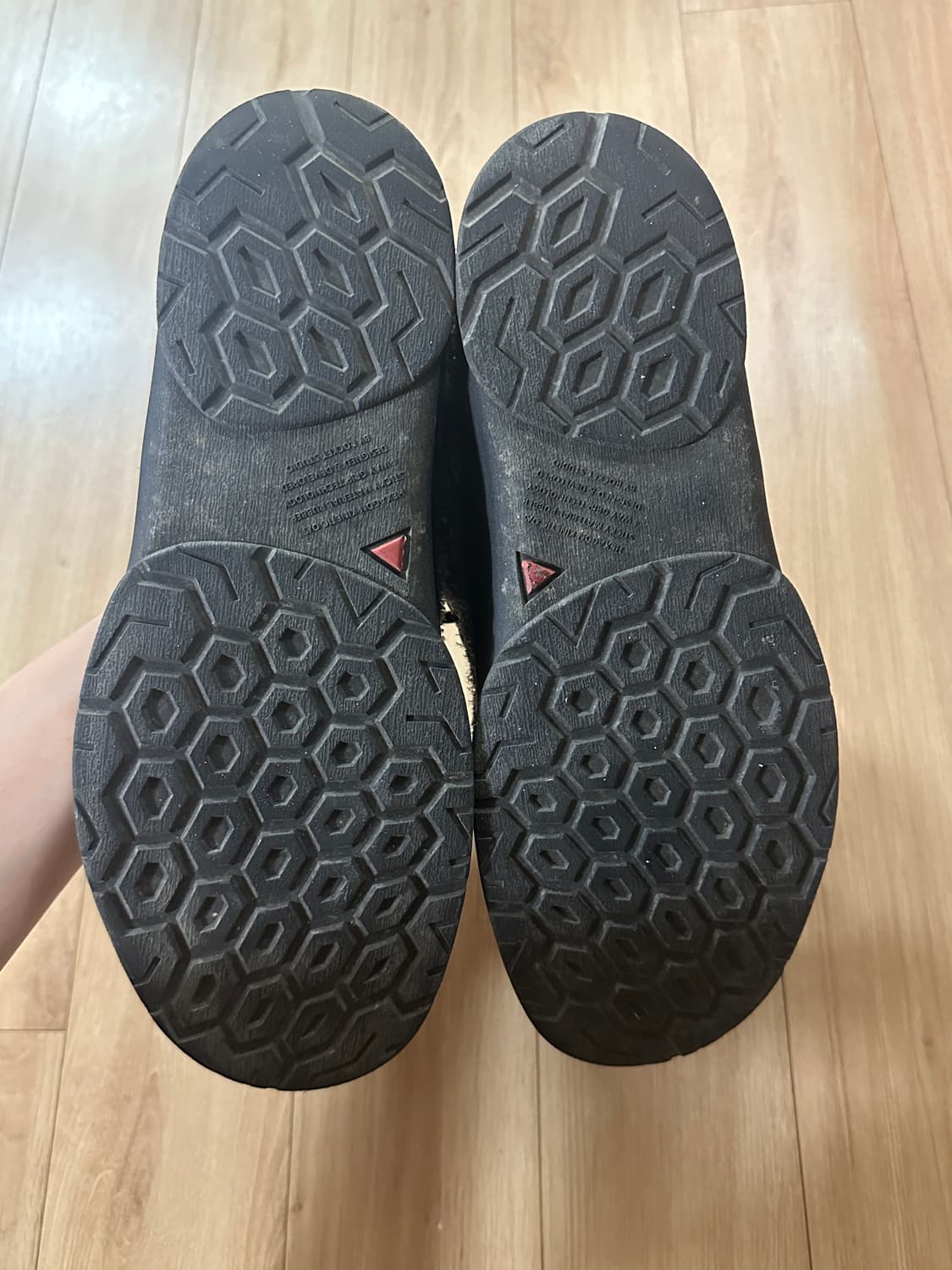코이세이오 코이슈즈 250 상품이미지2