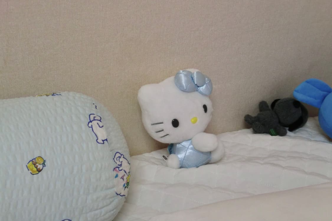 카시오 엑슬림 EX-Z550 핑크 상품이미지10