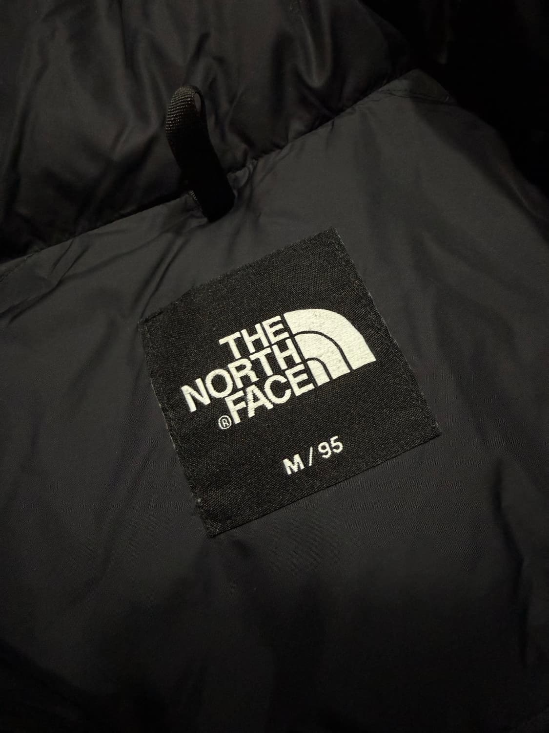 The North Face 노스페이스 에코 눕시 상품이미지3