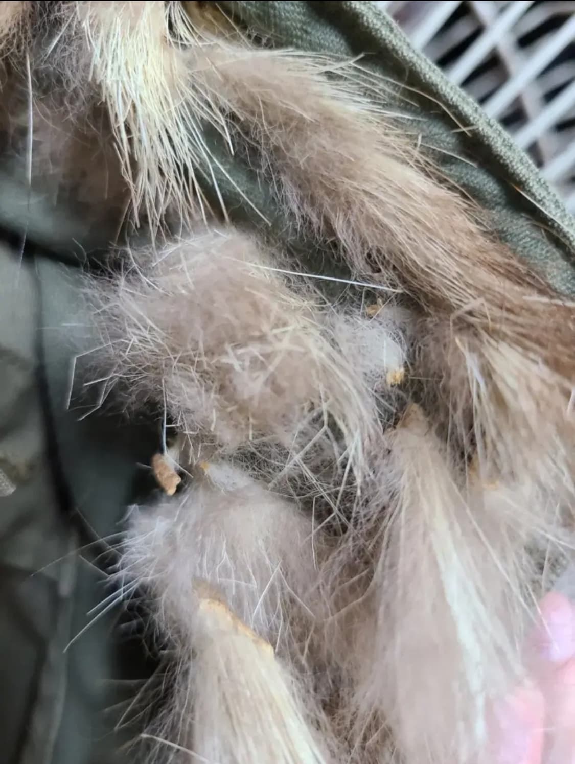 밀리터리 M48 피쉬테일파카 상품이미지10