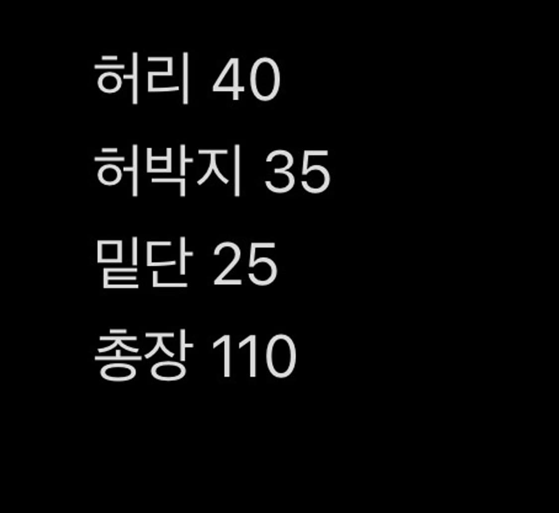서피스에디션 디스트로이드 와이드 데님 팬츠 M (30) 상품이미지9