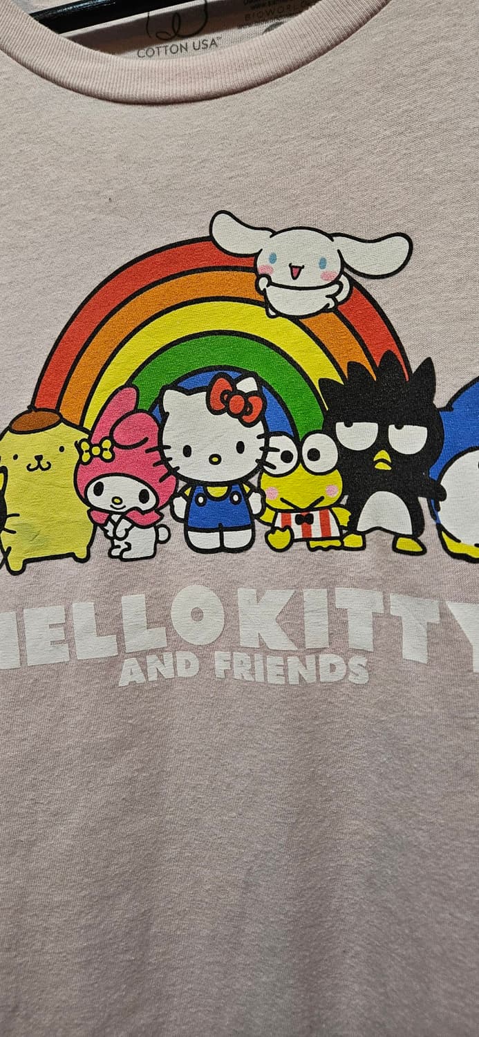 Sanrio - HelloKitty  상품이미지4