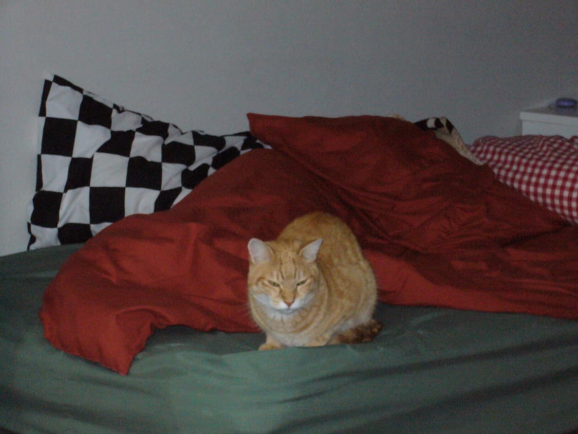 파나소닉 루믹스 dmc-ls1 디지털카메라 빈티지디카 상품이미지10