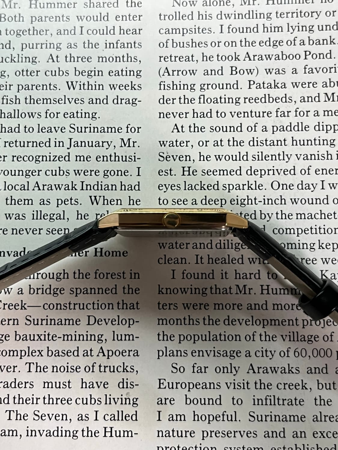 데드스탁 세이코 쿼츠 7431-5210 빈티지 드레스 워치  모델 : 세 상품이미지7