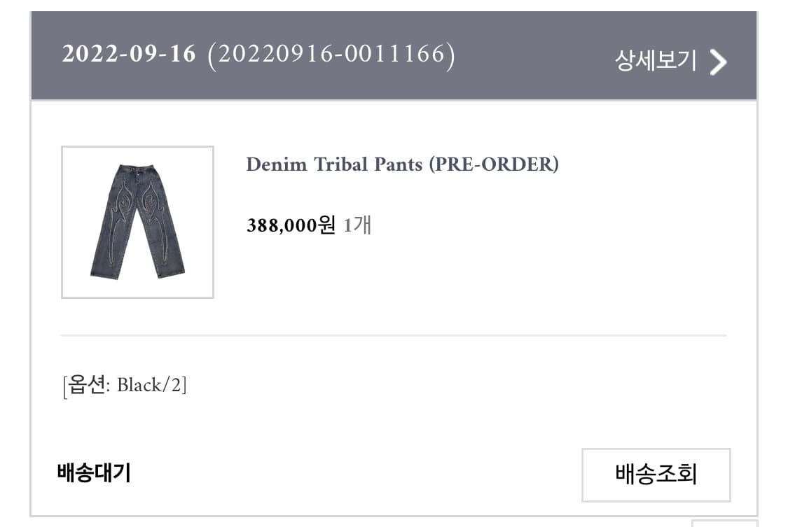 트라이벌 데님팬츠 상품이미지3