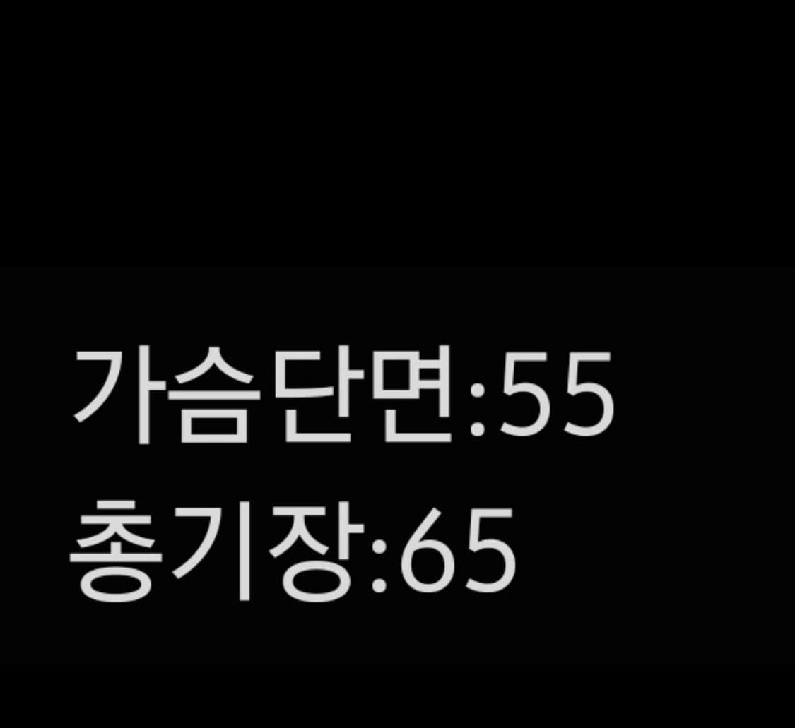 노스페이스 경량패딩 상품이미지4