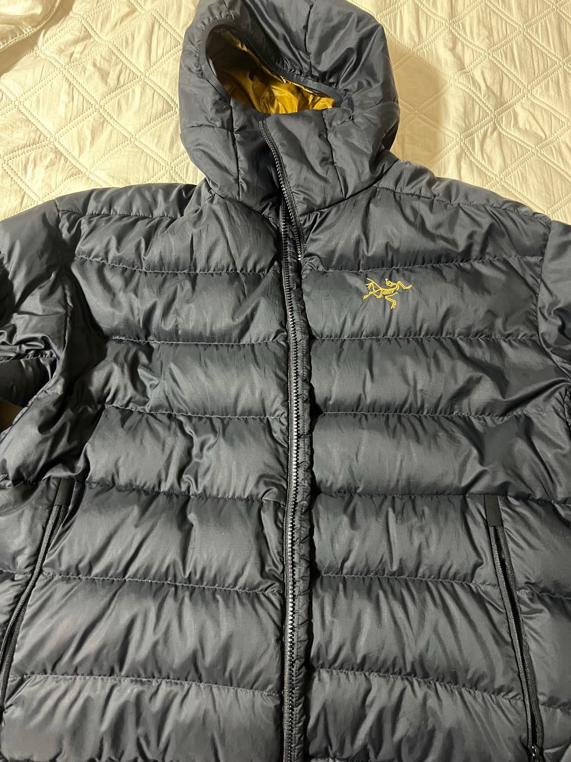 아크테릭스 토륨 24k 상품이미지1