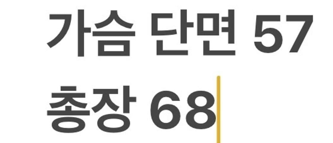 [정품/XL] 버버리 카라 반팔티 b13 상품이미지7