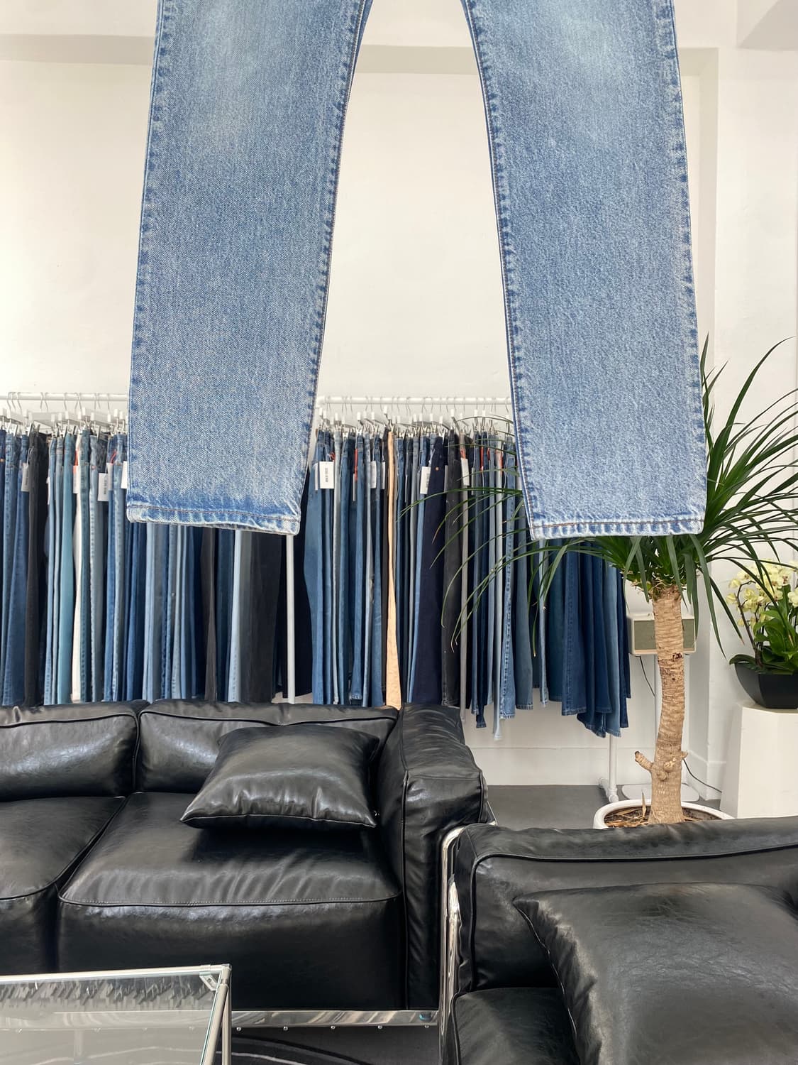 Levis501 Straight Fit 00s 25사이즈 a4876 상품이미지3