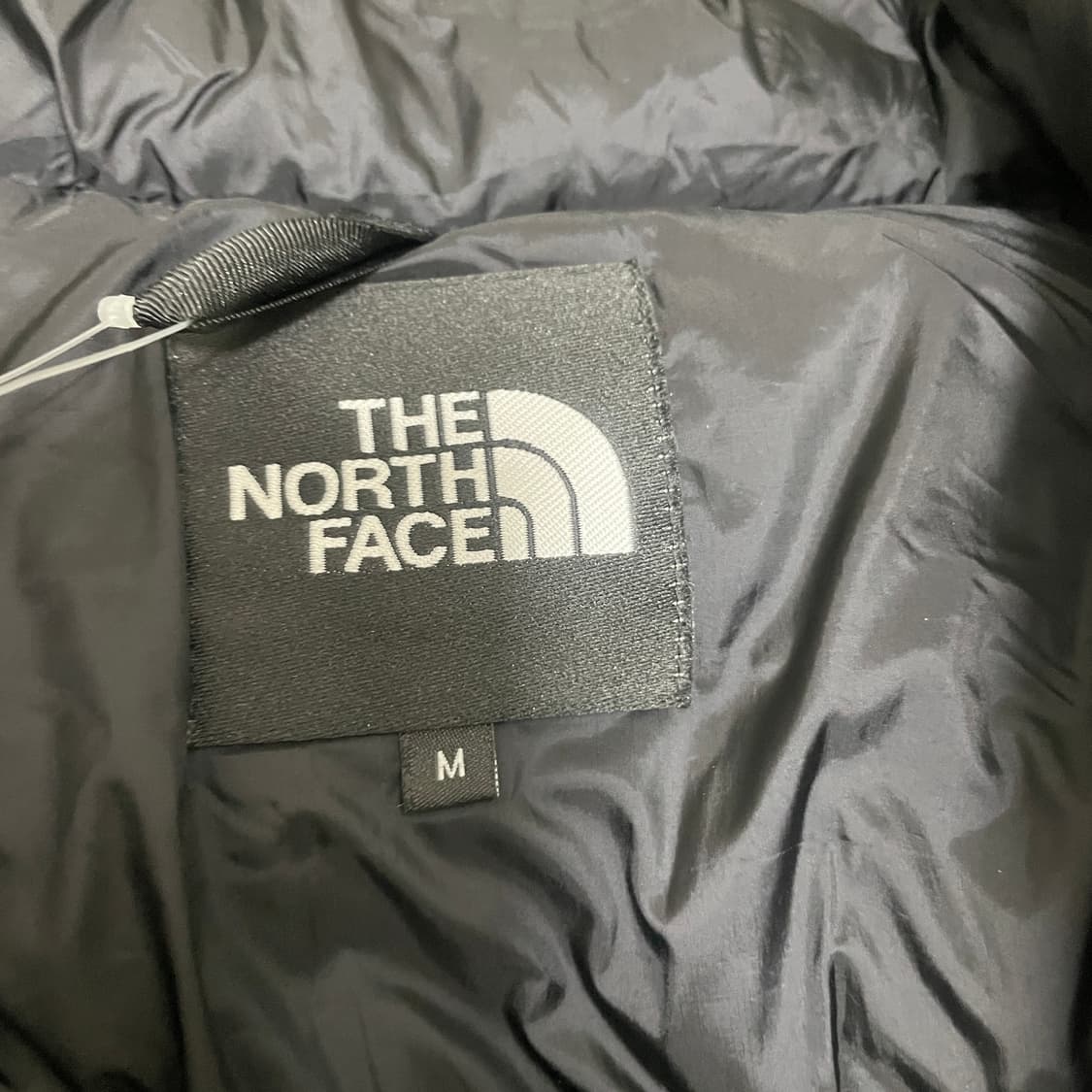 25FW 노스페이스 발토로 라이트 판매 상품이미지5