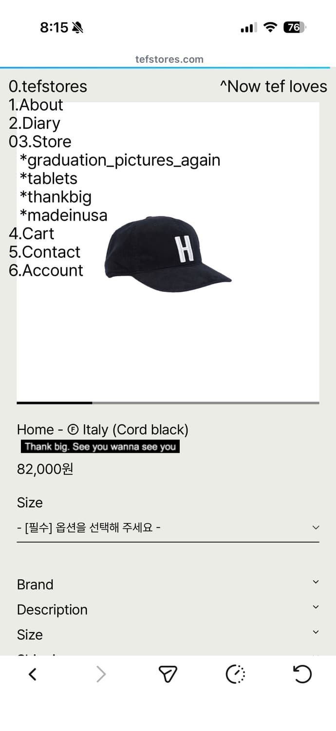 테프스토어즈 H볼캡 L 상품이미지1