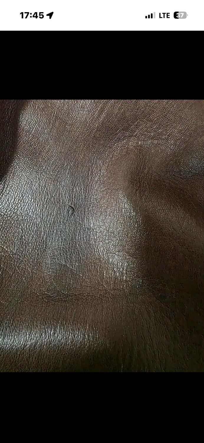 아비렉스 레더 A2 봄버 44 상품이미지9