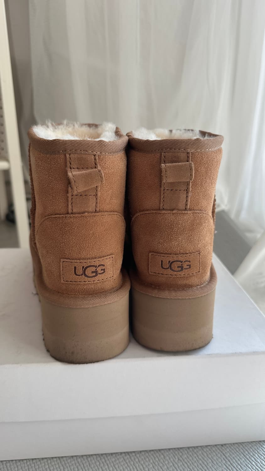 호주어그 볼드 5cm 230 상품이미지2