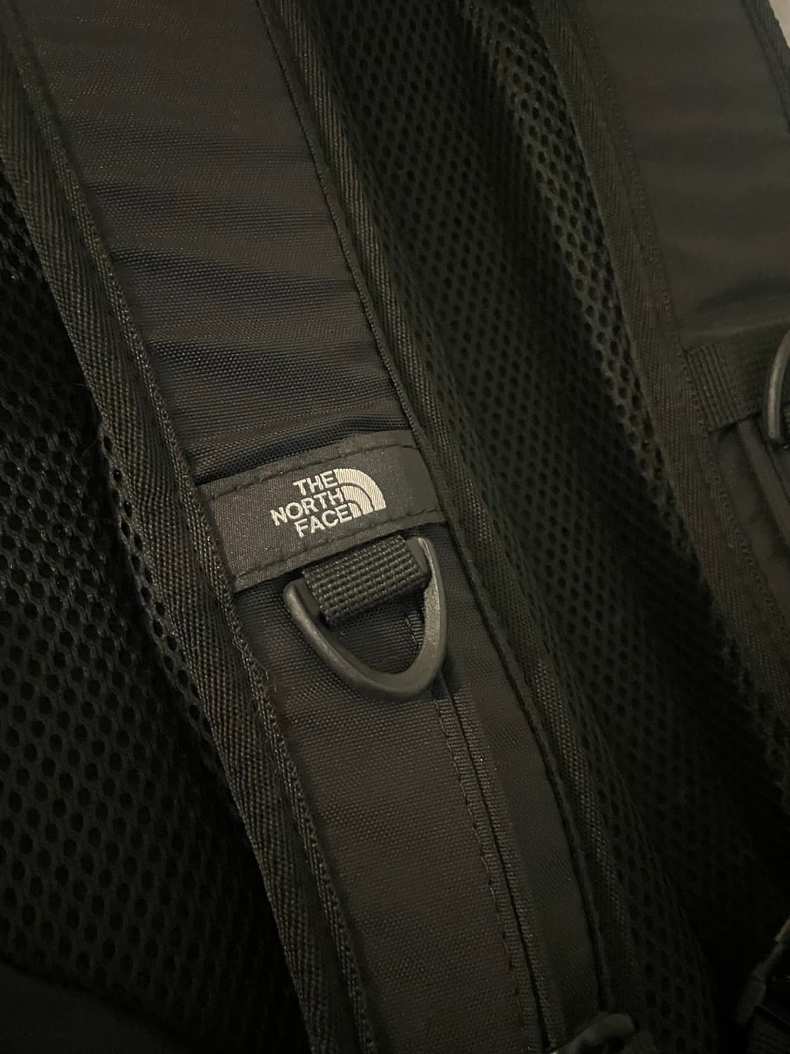 The North Face single shot 상품이미지2