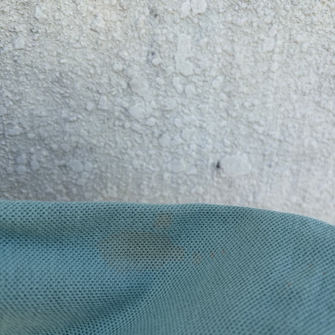 일본판)폴로 랄프로렌 민트맛 PK카라 반팔 티셔츠(M) 상품이미지6