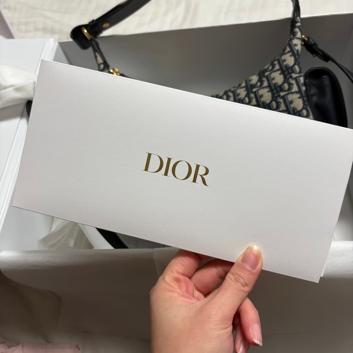 디올 오블리크 로멘틱호보빽 상품이미지3