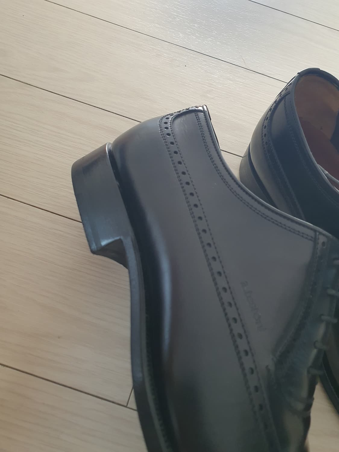 남250테스토니 상품이미지2