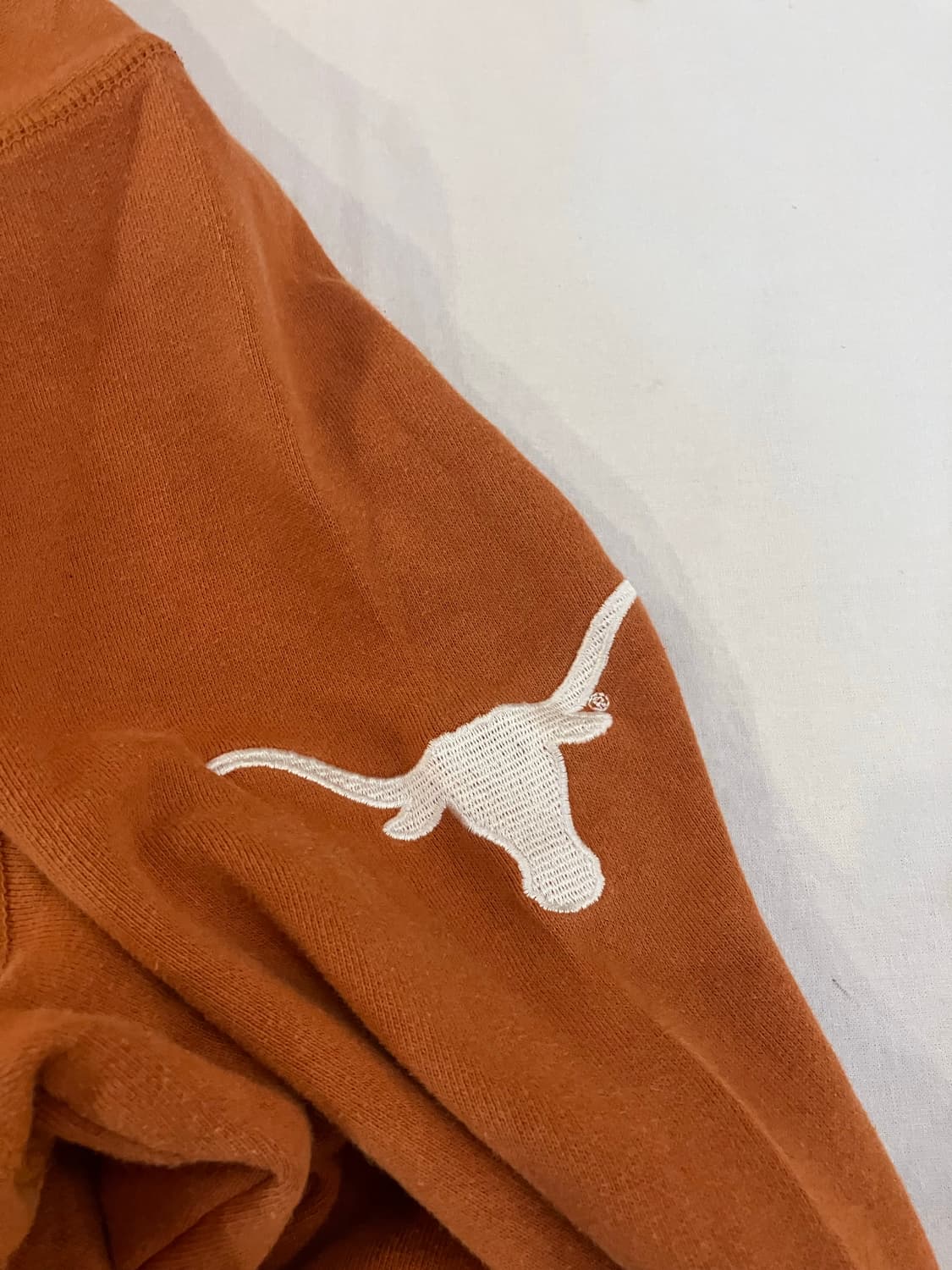 00s 나이키 센터 스우시 텍사스 백프린팅 후드티 상품이미지3