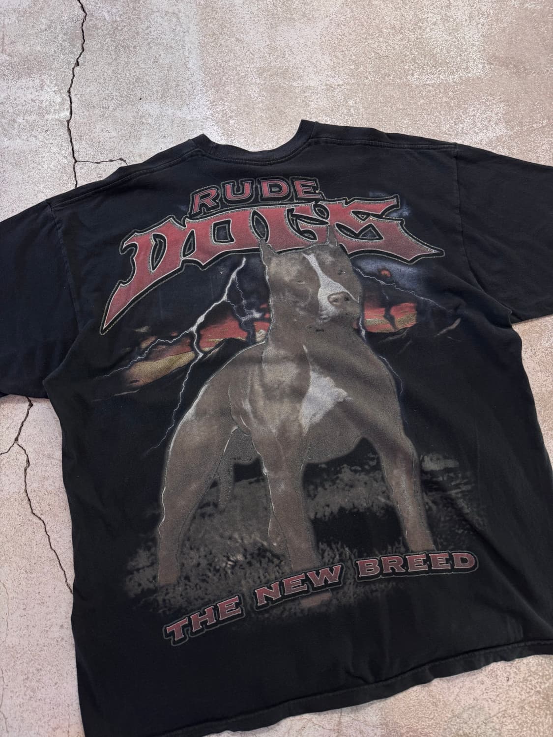 RUDE DOGS 핏불 프린팅 티셔츠 상품이미지5