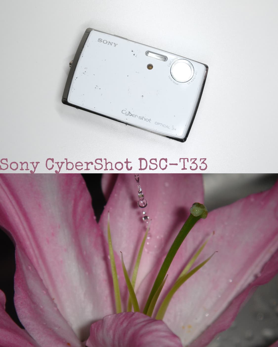 Sony CyberShot DSC-T33 상품이미지1