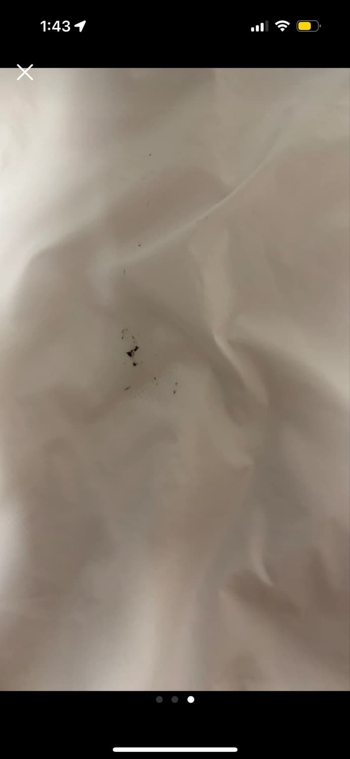 아디다스 바람막이 L 사이즈 (크림구매!!) 상품이미지3