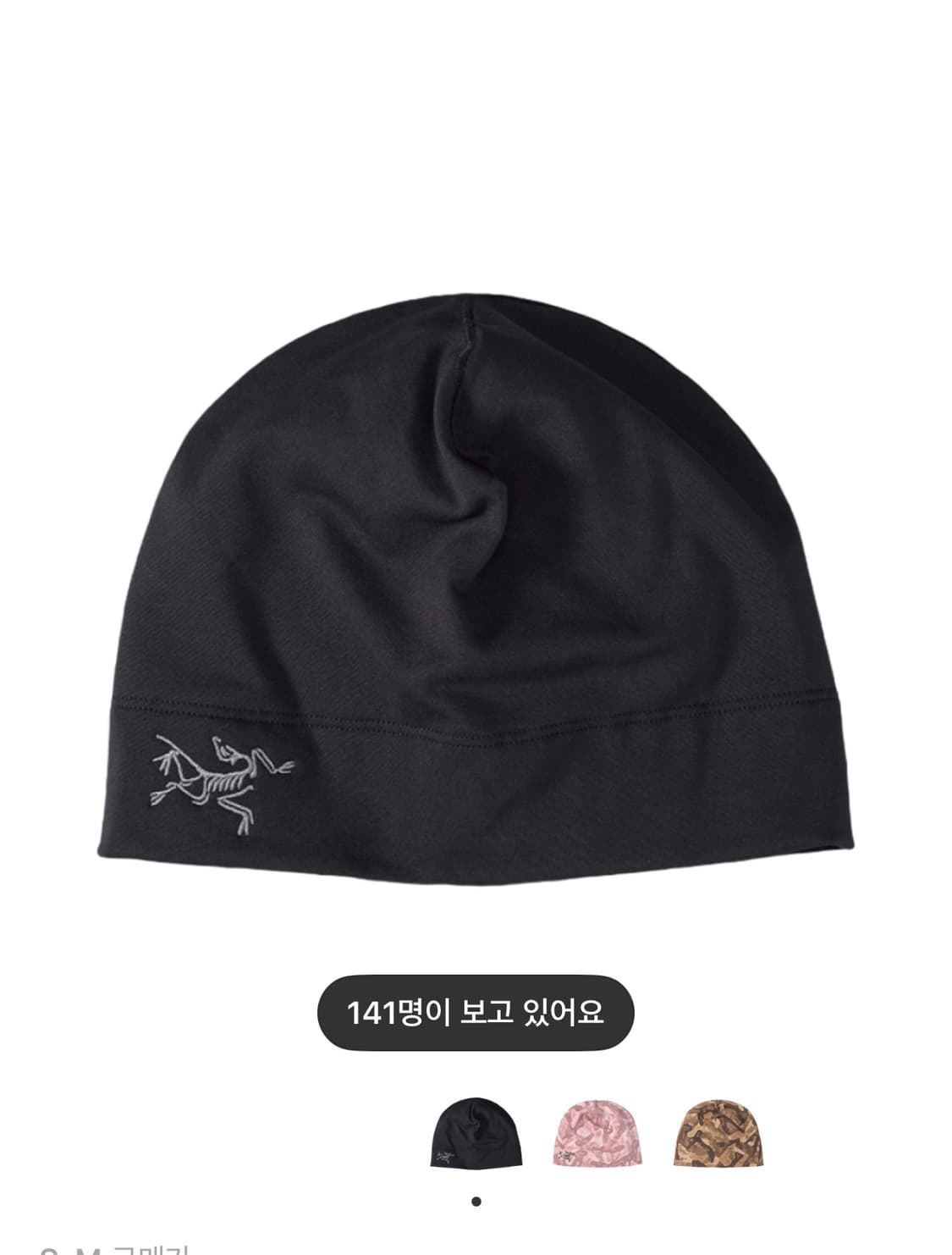 아크테릭스 로 토크 비니 (s-m) 상품이미지1