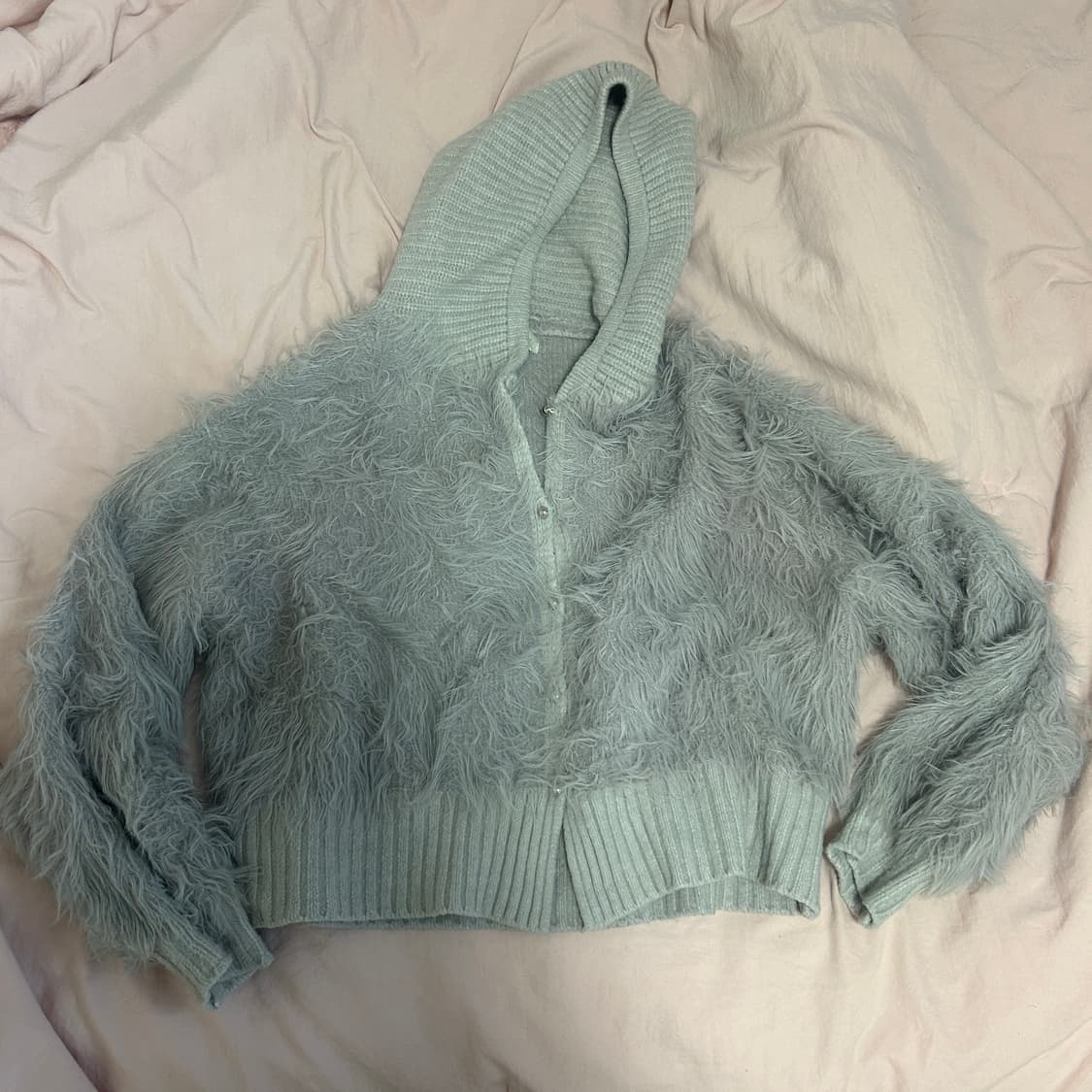 히피디피 shaggy hood cd 상품이미지4