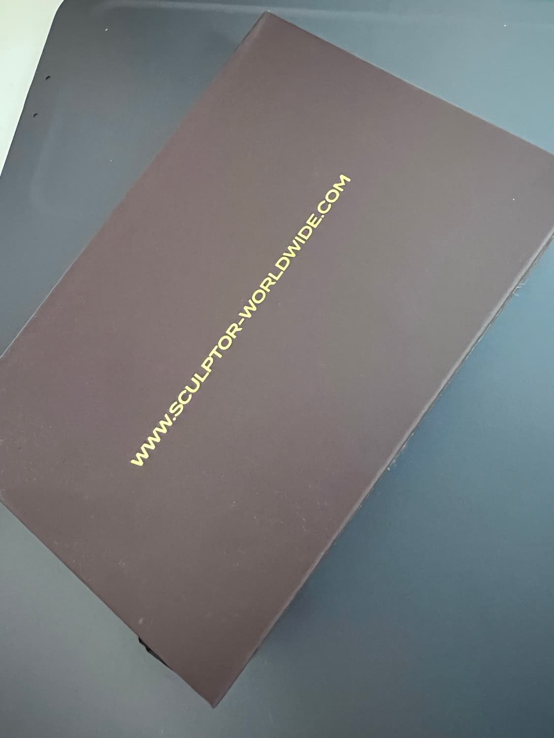 스컬프터 크로스 스트랩 레이어드 월렛 지갑 골드 카드홀더 상품이미지5