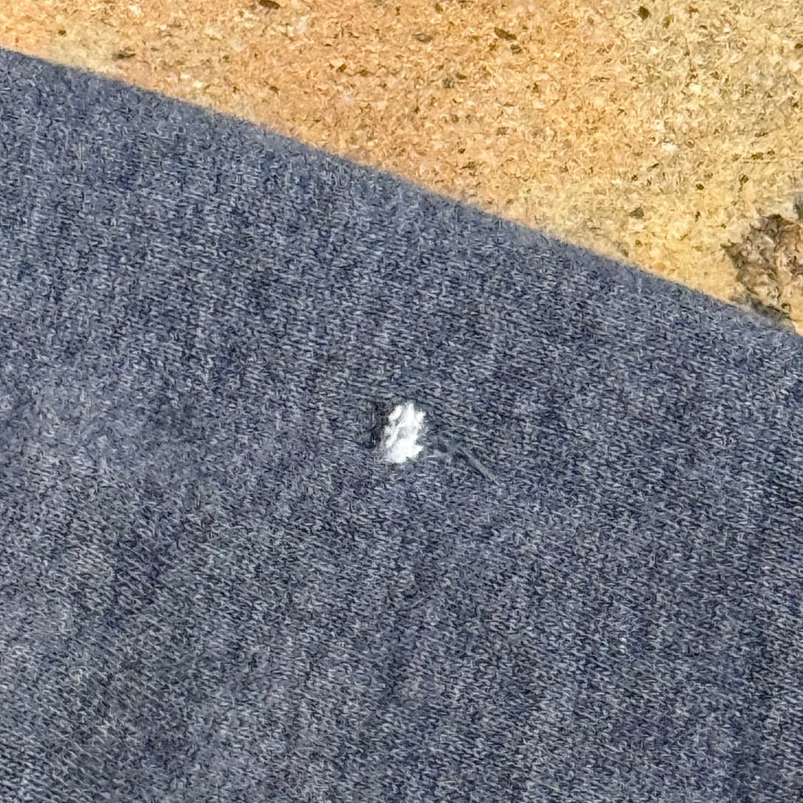 아베크롬비 그레이 후드집업 상품이미지8