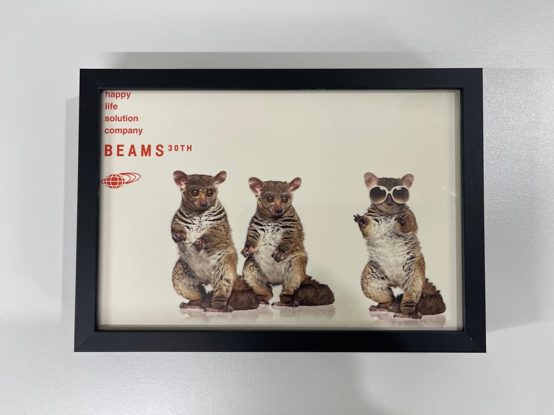 빔즈 30주년 기념 한정 아트 포토 Beams AD2006 상품이미지1