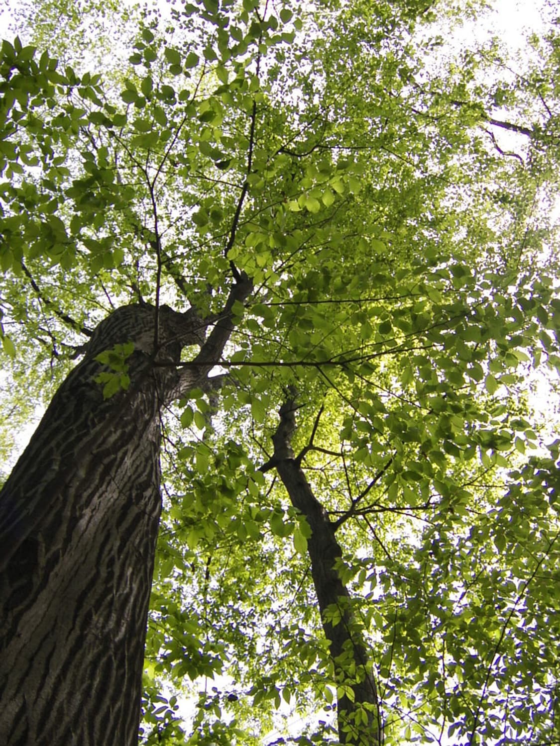 (라이카렌즈🖤) 파나소닉 루믹스 DMC-FP7 디카 디지털카메라 상품이미지8