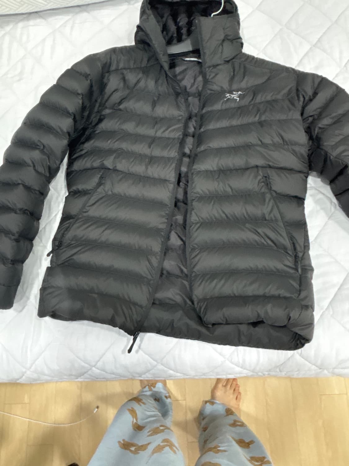 아크테릭스 세륨 후디 M 상품이미지2