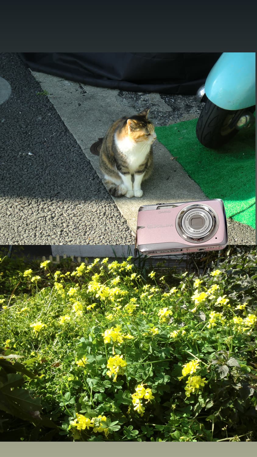 차정원 디카 카시오 엑슬림 ex-z550 작례o 풀박스 상품이미지2