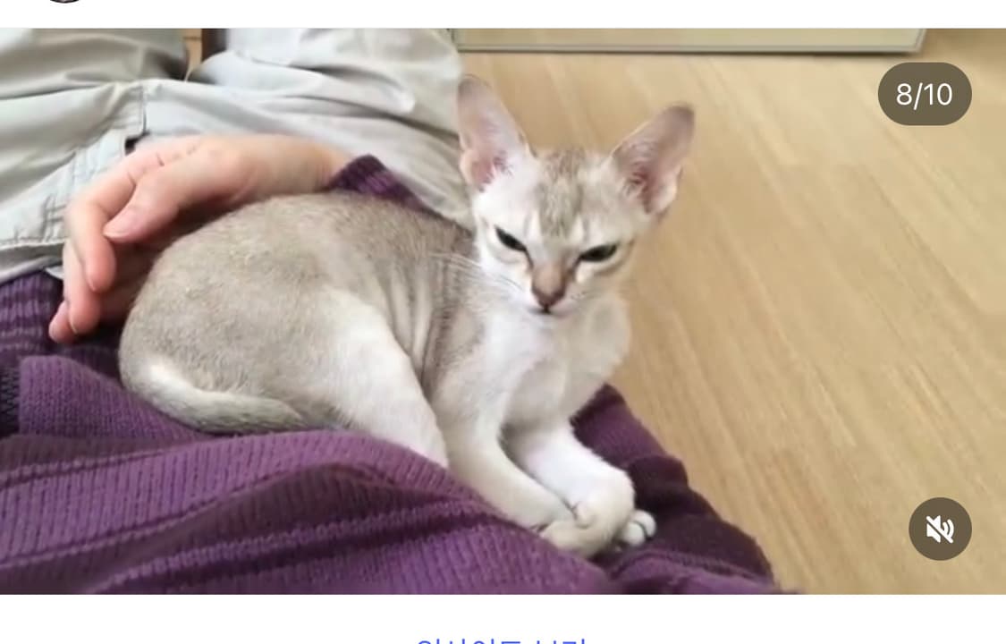 [직수입] 빈티지 plein sud 티셔츠 / 미디스커트 / 니트가디건 상품이미지7