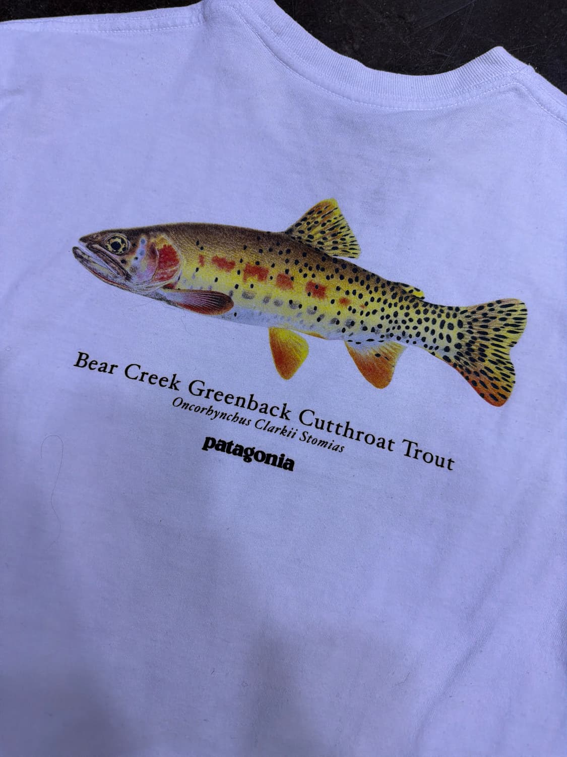 파타고니아 화이트 피쉬 로고 티셔츠 S 상품이미지5