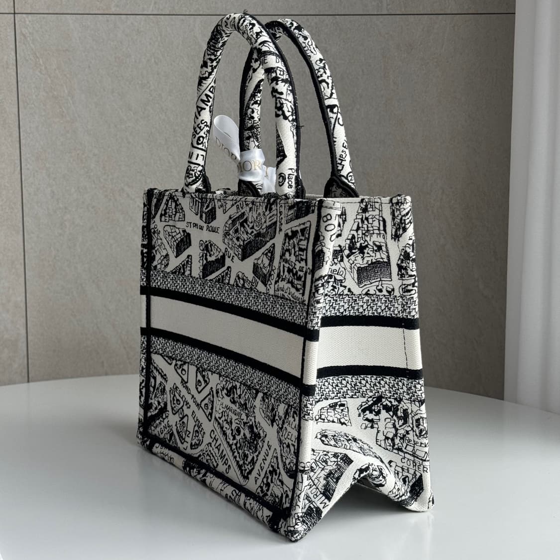 [새상품급] 디올 플랜드 파리 북토트 백 스몰 상품이미지3