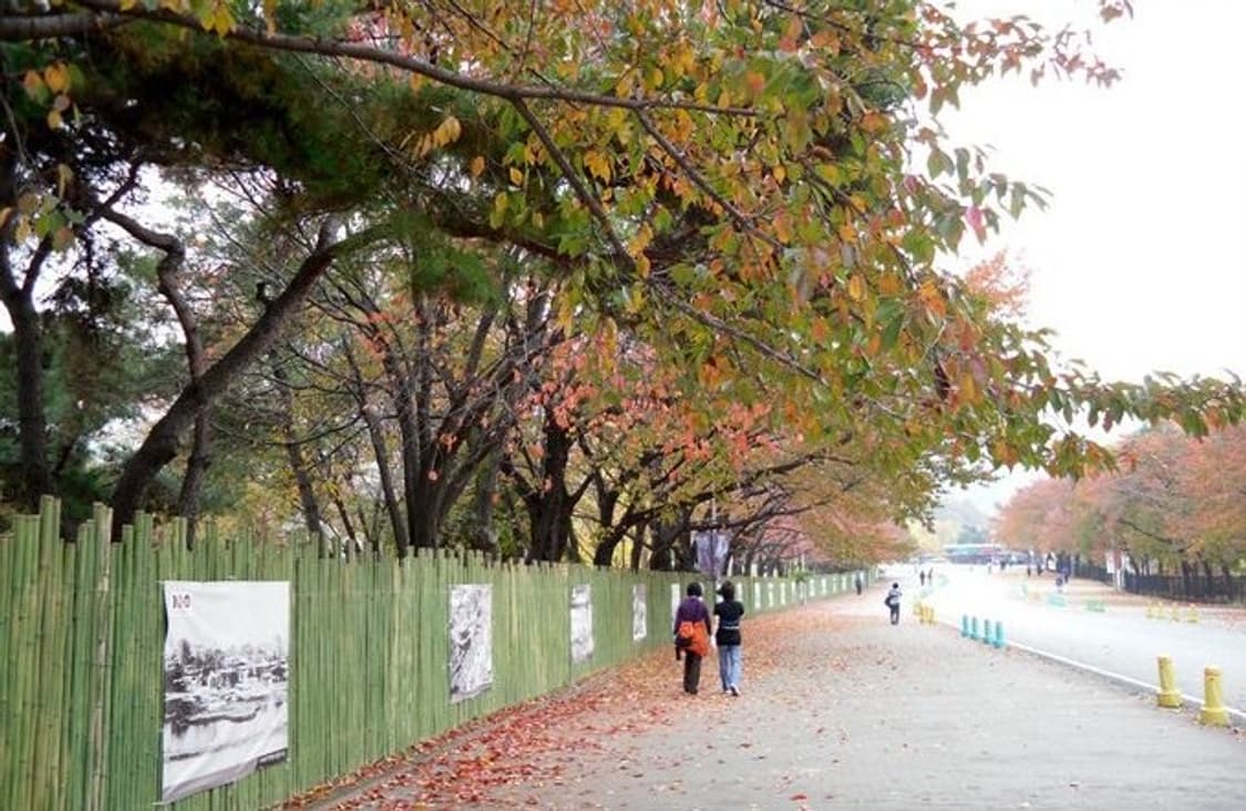삼성 VLUU Samsung ES17 핑크 상품이미지4