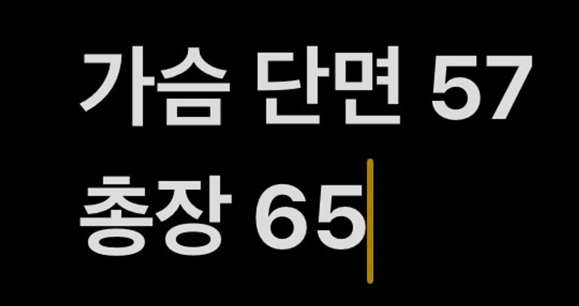 [ 정품/M ] 파타고니아 레귤러핏 후드티 b16 상품이미지7