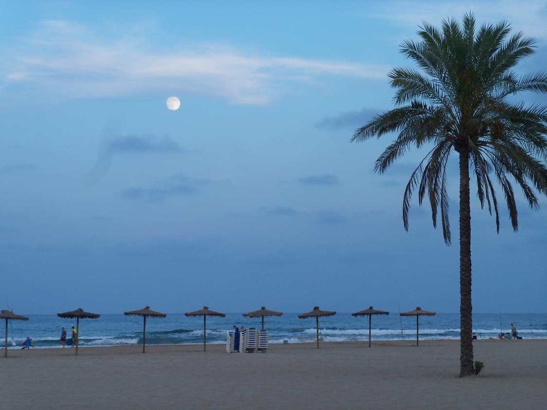 코닥 이지쉐어 Kodak easyshare c190 빈티지디카 디카 상품이미지10