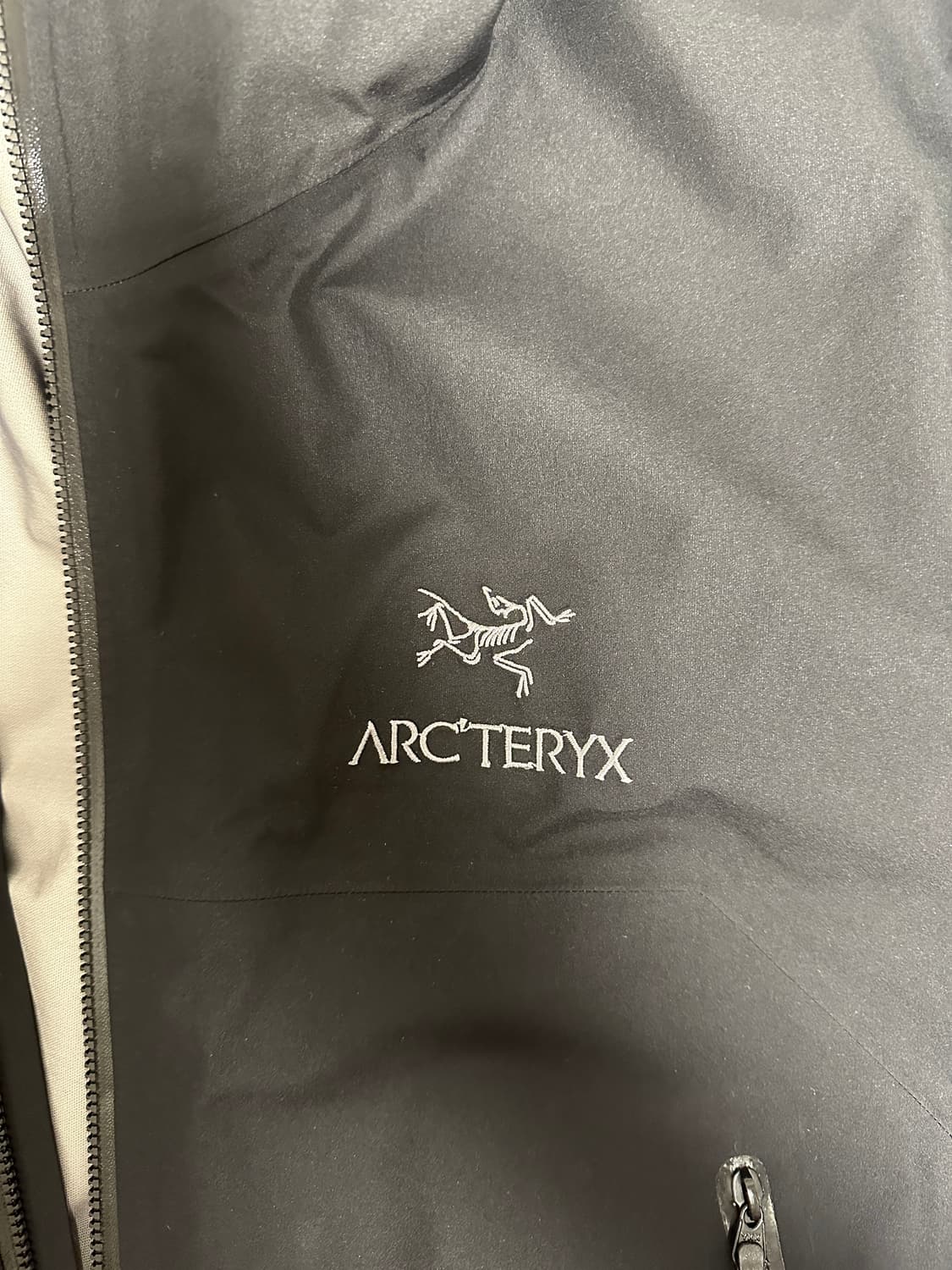 아크테릭스 베타 L 상품이미지4