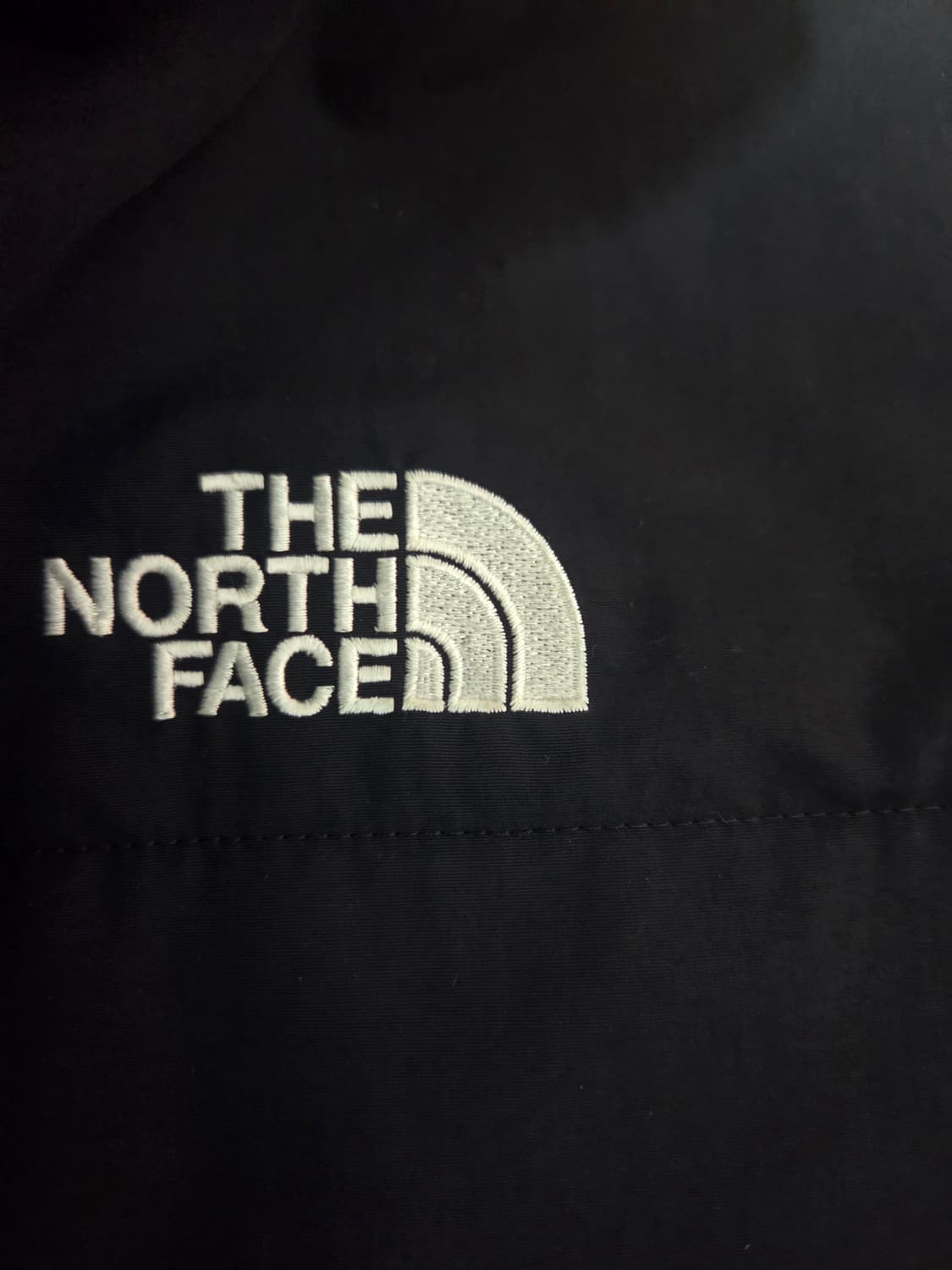 노스페이스 데날리 플리스 후리스 블랙 XL  상품이미지2