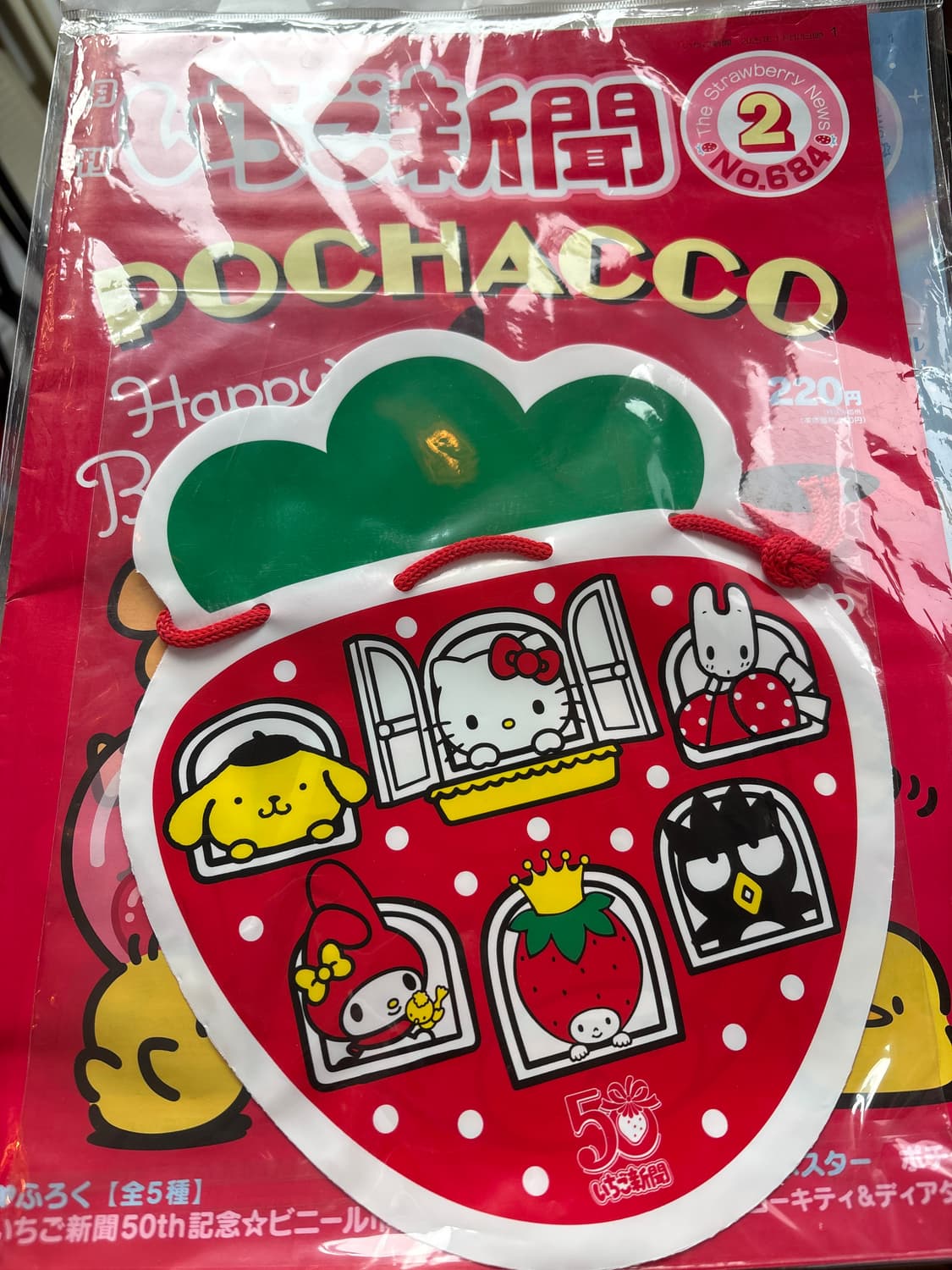 이치고 신문 2월호 상품이미지1