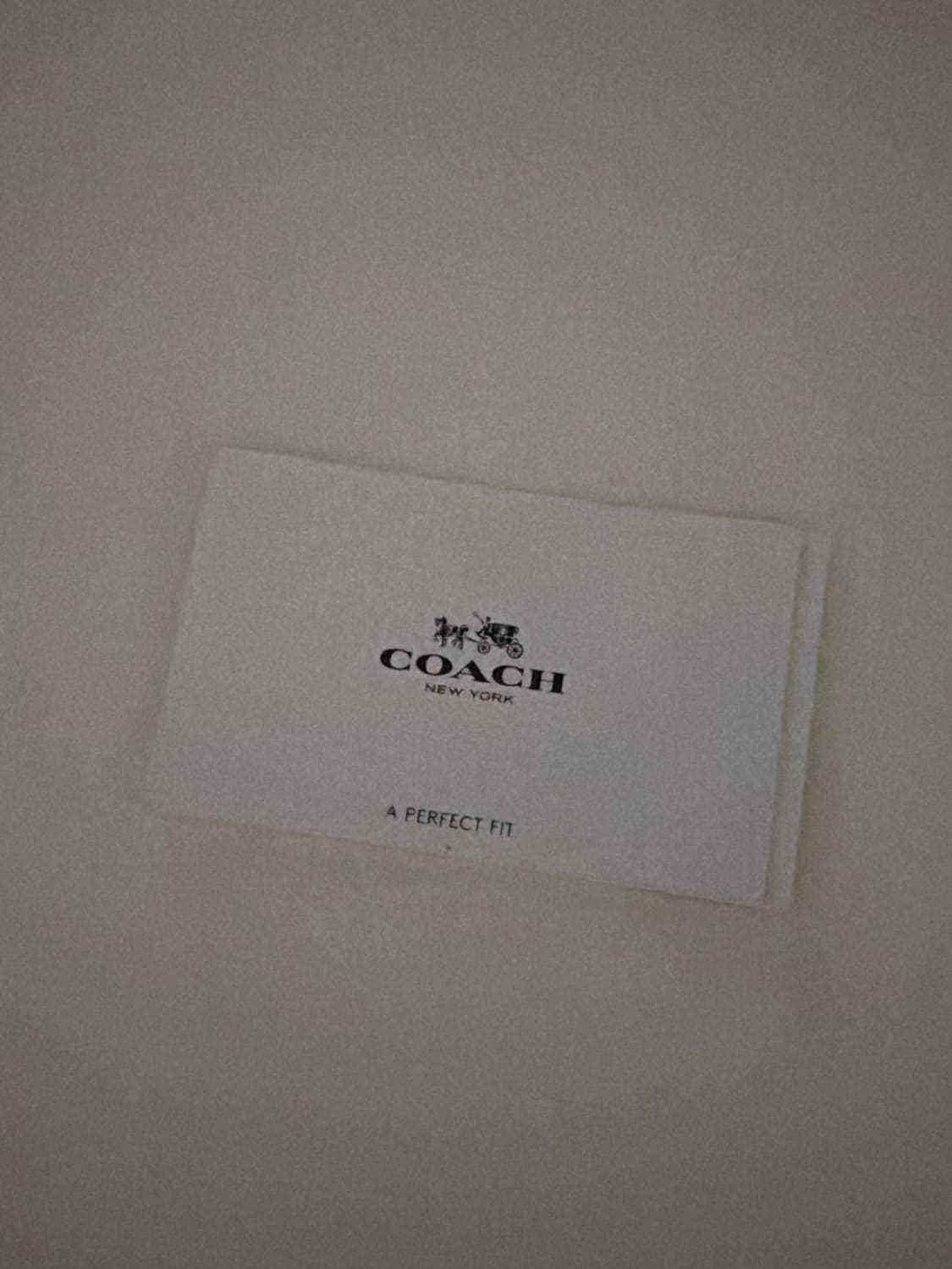 코치 미니 크로스백 x 스누피 콜라보  상품이미지10