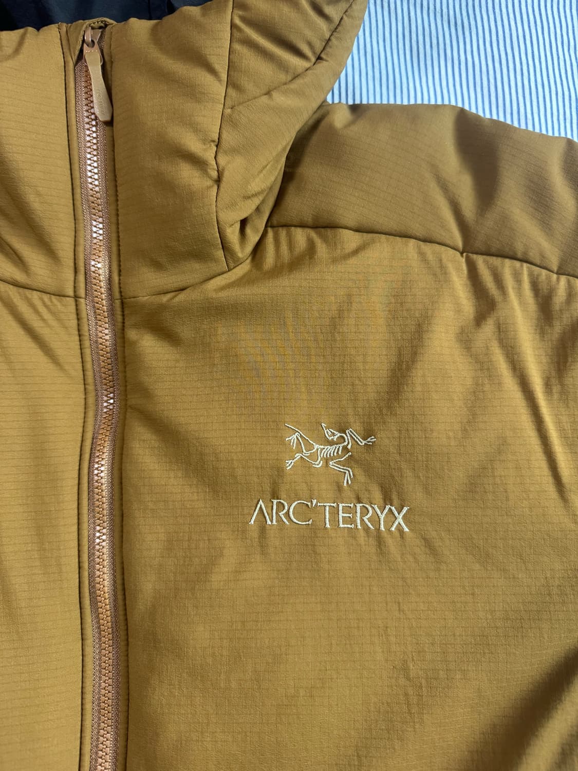 (민트급) 아크테릭스 아톰 AR 후디 렐릭 M 상품이미지5