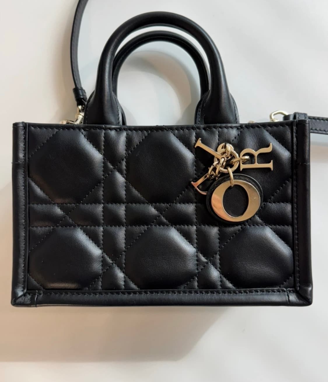 디올 북토트 미니 백 블랙 상품이미지3