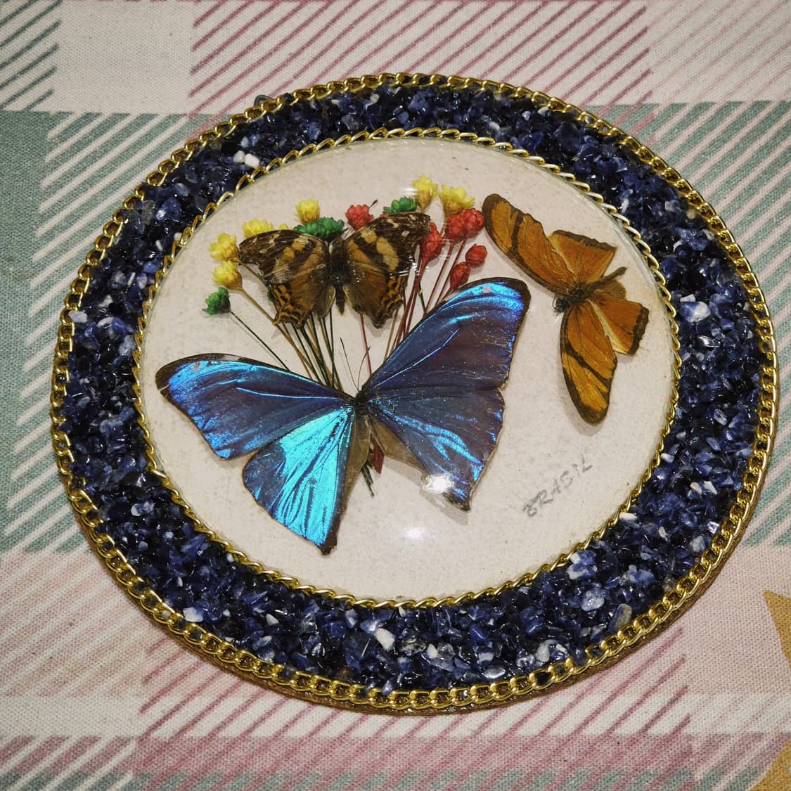90s 브라질 모르포 나비 표본 원석 벽걸이 상품이미지8