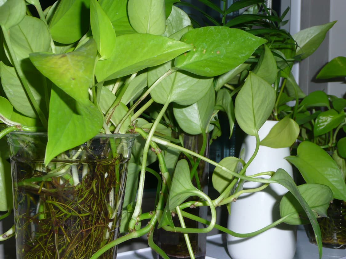 [라이카렌즈📸] 파나소닉 루믹스 DMC TZ3 빈티지 디카 lumix 상품이미지6