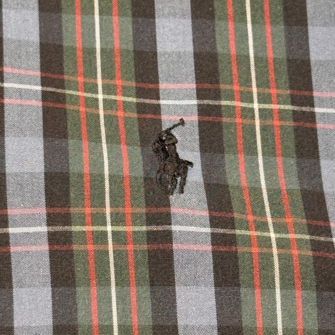 M) 폴로 랄프로렌 클래식 체크 셔츠 상품이미지4